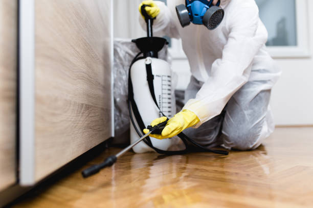 Best Best Pest Control Companies  in Redwood, TX