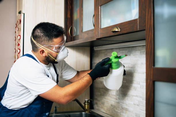 Best Best Pest Control Companies  in Redwood, TX