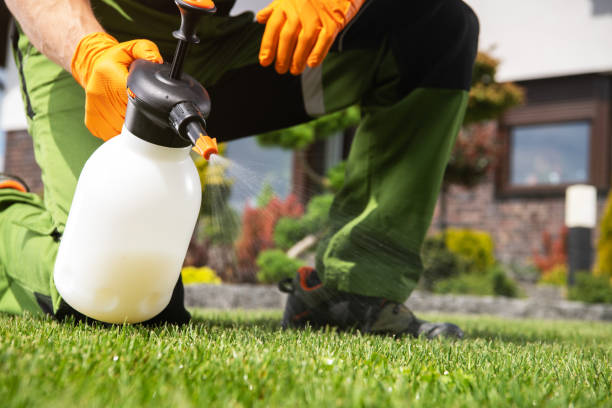 Best Pest Prevention Services  in Redwood, TX