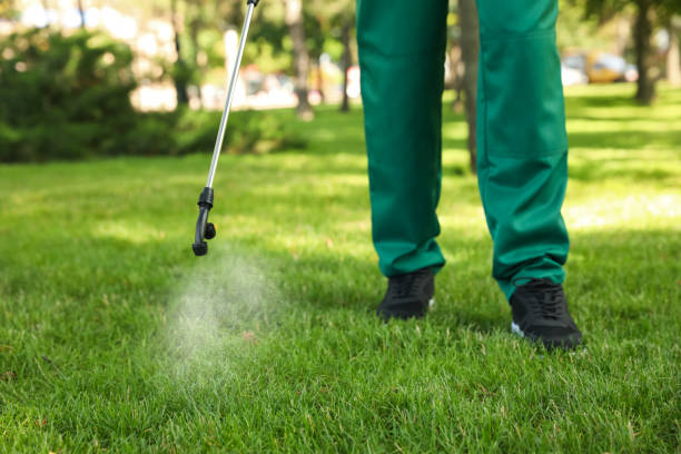 Best Pest Prevention Services  in Redwood, TX