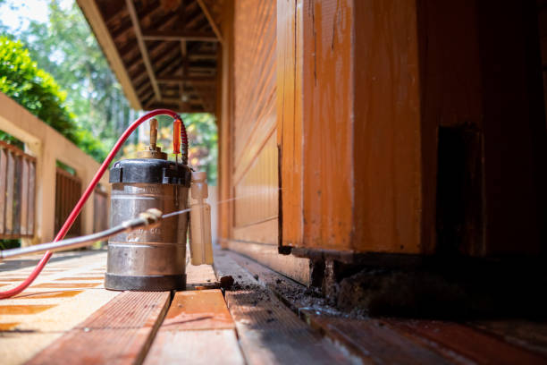 Best Affordable Pest Control Services  in Redwood, TX