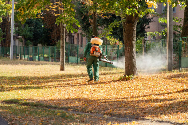 Pest Control Cost in Redwood, TX